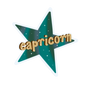 Zodiac Collection Stickers