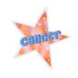 Zodiac Collection Stickers